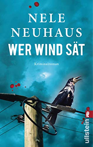 Book Cover Wer Wind sät (Ein Bodenstein-Kirchhoff-Krimi 5) (German Edition)
