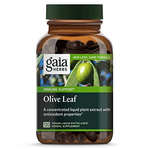 Book Cover Gaia Herbs Olive Leaf, Vegan Liquid Capsules, 120 Count - Daily Immune Support and Cardiovascular Health Supplement, Antioxidant, 680mg