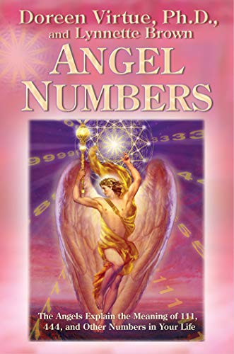 Book Cover Angel Numbers: The Angels Explain the Meaning of 