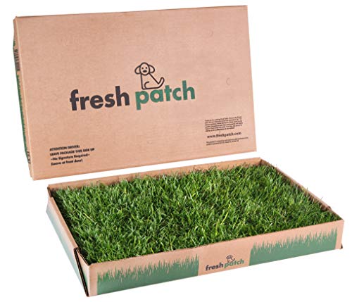 Book Cover Fresh Patch Disposable Dog Potty with REAL Grass - As Seen on SHARK TANK by Fresh Patch