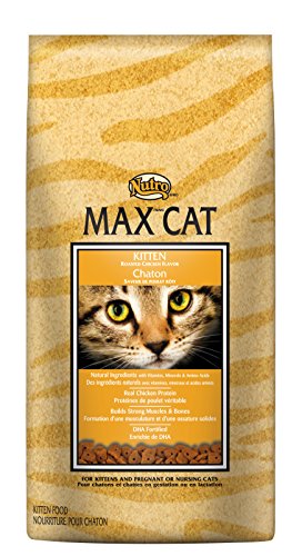 Book Cover Nutro Max Cat Kitten Dry Cat Food, Roasted Chicken, 3 Lbs.
