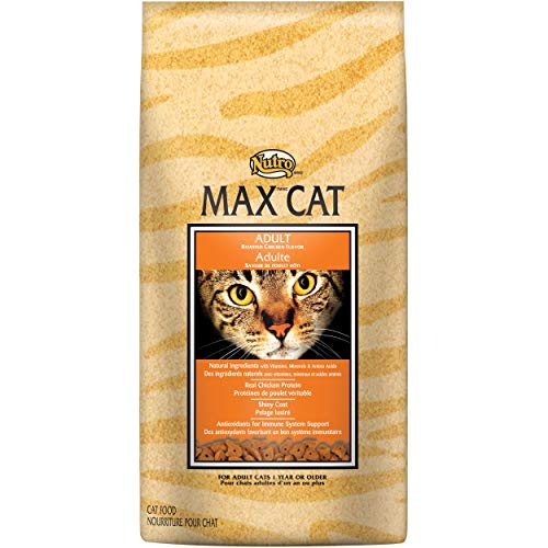 Book Cover DISCONTINUED BY MANUFACTURER:NUTRO MAX CAT Adult Roasted Chicken Flavor Dry Cat Food 6 Pounds