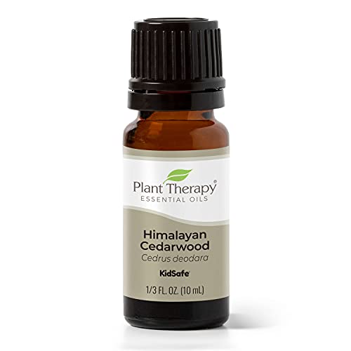 Book Cover Plant Therapy Himalayan Cedarwood Essential Oil 10 mL (1/3 oz) 100% Pure, Undiluted, Therapeutic Grade