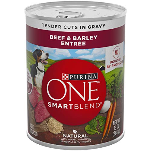 Book Cover Purina ONE Natural, High Protein Gravy Wet Dog Food, SmartBlend Tender Cuts in Gravy Beef & Barley - (12) 13 oz. Cans