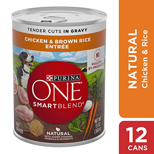 Book Cover Purina ONE Natural, High Protein Gravy Wet Dog Food, SmartBlend Tender Cuts Chicken & Brown Rice - (12) 13 oz. Cans