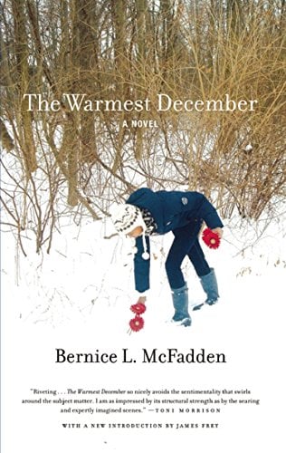 Book Cover The Warmest December
