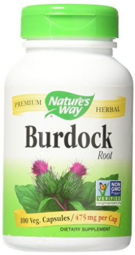 Book Cover Natures Way Burdock Root Organic Vegetarian Capsule, 100 ct