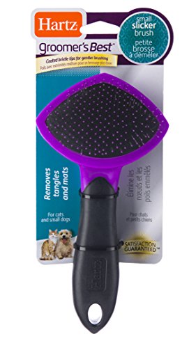 Book Cover Groomer's Best  Small Slicker Brush for Cats and Small Dogs