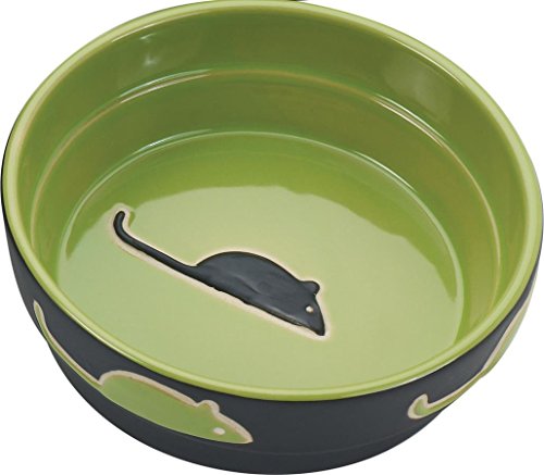 Book Cover Ethical Pet Products (Spot) CSO6898 Fresco Cat Dish, 5-Inch, Green
