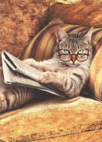 Book Cover Cat Reading Newspaper Funny Just For Fun Card