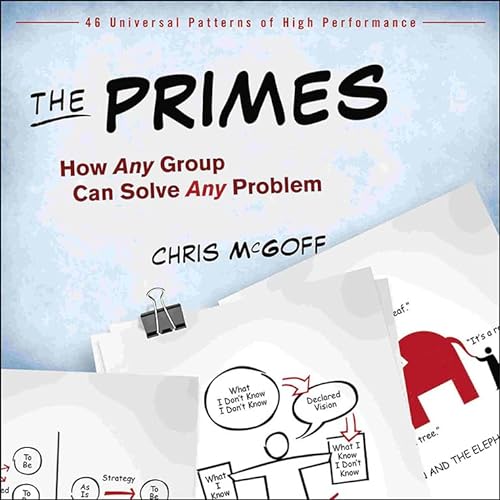 Book Cover The Primes: How Any Group Can Solve Any Problem