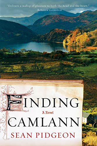 Book Cover Finding Camlann: A Novel