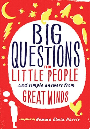 Book Cover Can a Bee Sting a Bee?: And Other Big Questions from Little People