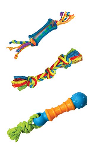 Book Cover Petstages Orka Mini Dental Dog Chew Toys - 3 Pack
