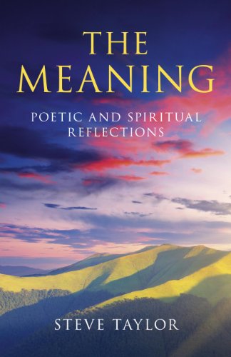 Book Cover The Meaning