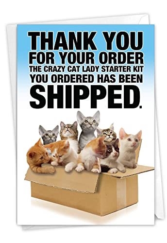 Book Cover NobleWorks, Funny Happy Birthday Card with Envelope - Colorful Humor Note Card Greeting - Cat Lady Starter Kit 8016Z