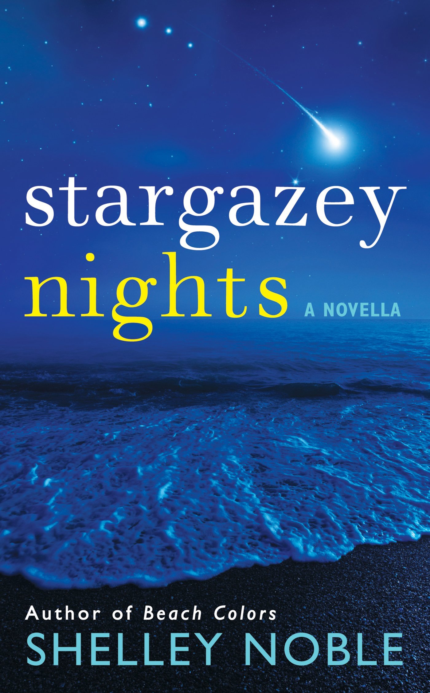Book Cover Stargazey Nights: A Novella (A Stargazey Point Novella Book 1)