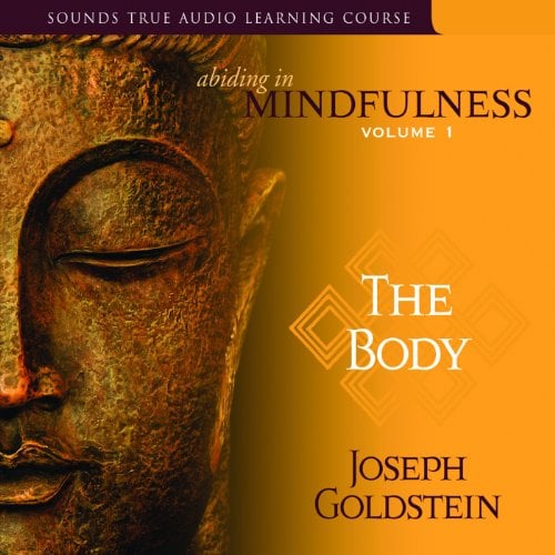 Book Cover Abiding in Mindfulness, Volume 1: The Body