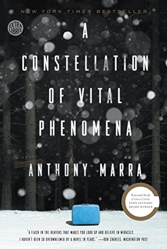 Book Cover A Constellation of Vital Phenomena: A Novel