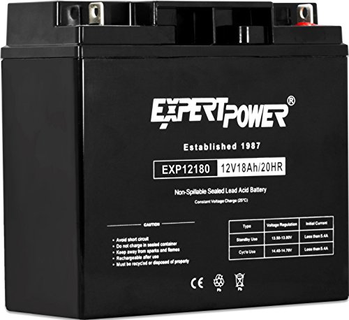 Book Cover Expert Power EXP12180 Lead_Acid_Battery