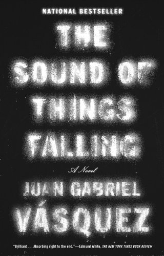 Book Cover The Sound of Things Falling