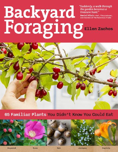 Book Cover Backyard Foraging: 65 Familiar Plants You Didn't Know You Could Eat