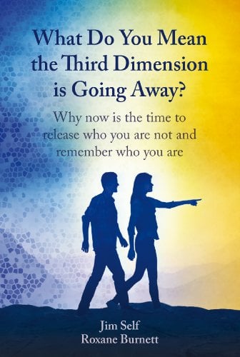 Book Cover What Do You Mean the Third Dimension is Going Away?