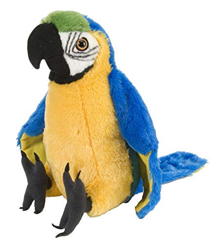 Book Cover Wild Republic Macaw Parrot Plush, Stuffed Animal, Plush Toy, Gifts For Kids, Cuddlekins 12 Inches,Multi