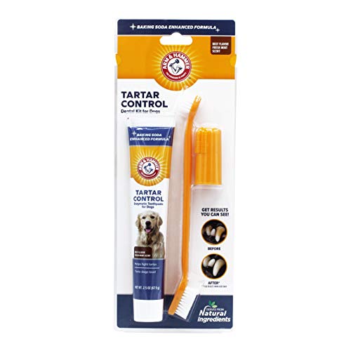 Book Cover Arm & Hammer Dog Dental Care Tartar Control Kit for Dogs | Contains Toothpaste, Toothbrush & Fingerbrush | Reduces Plaque & Tartar Buildup | Safe for Puppies, 3Piece Kit, Beef Flavor