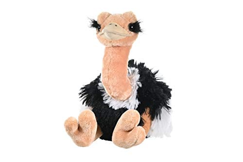 Book Cover Wild Republic Ostrich Plush, Stuffed Animal, Plush Toy, Gifts for Kids, Cuddlekins 12 Inches