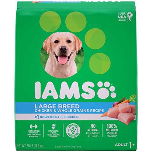 Book Cover Iams Proactive Health Adult With Grass-Fed Lamb Dry Dog Food 34.5 Pounds (Discontinued By Manufacturer)