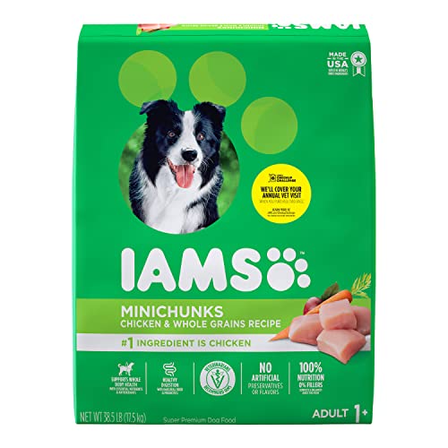 Book Cover IAMS Adult Minichunks Small Kibble High Protein Dry Dog Food with Real Chicken, 38.5 lb. Bag