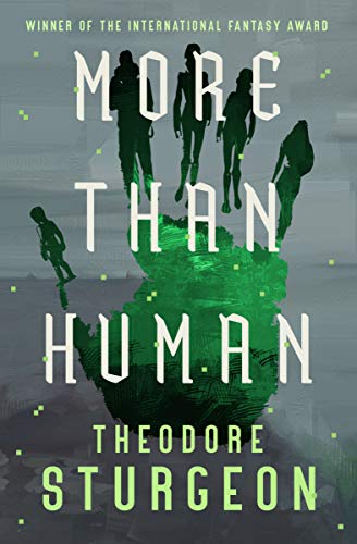 Book Cover More Than Human