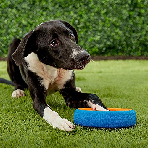 Book Cover JW Pet Chuckit Fetch Wheel Toy for Dogs, Large