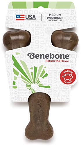 Book Cover Benebone Wishbone Durable Dog Chew Toy for Aggressive Chewers, Made in USA, Medium, Real Bacon Flavor