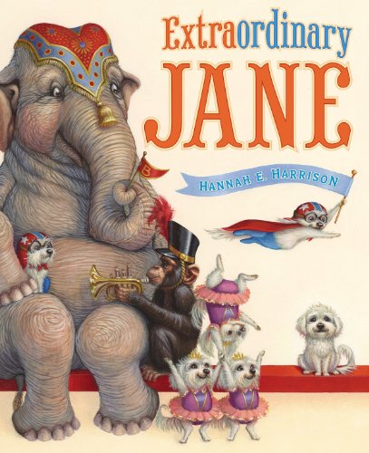 Book Cover Extraordinary Jane