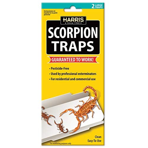 Book Cover Scorpion Traps w/25 irresistible lures (2 pk)