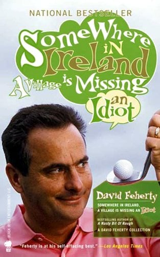 Book Cover Somewhere in Ireland, A Village Is Missing an Idiot