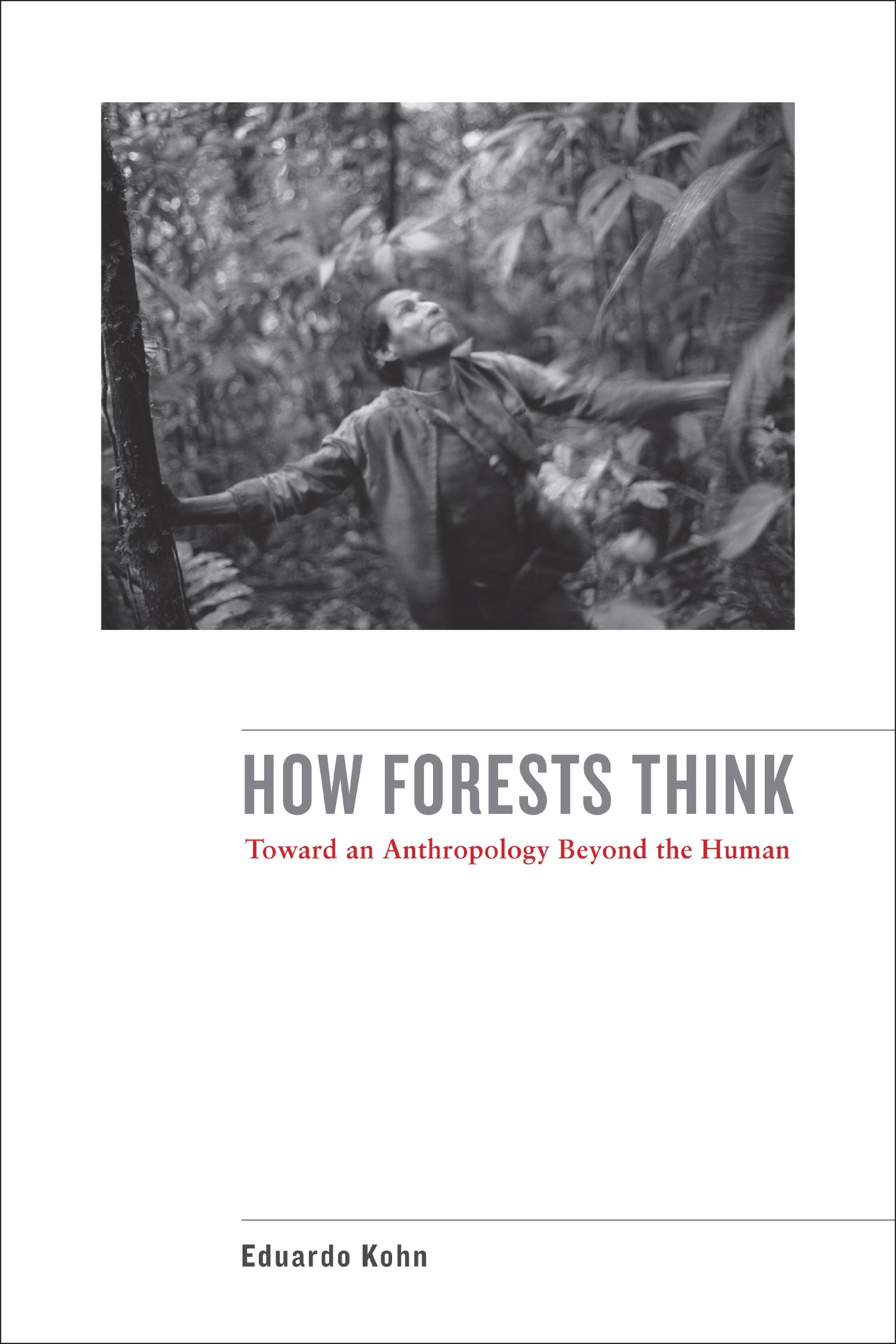 Book Cover How Forests Think: Toward an Anthropology Beyond the Human