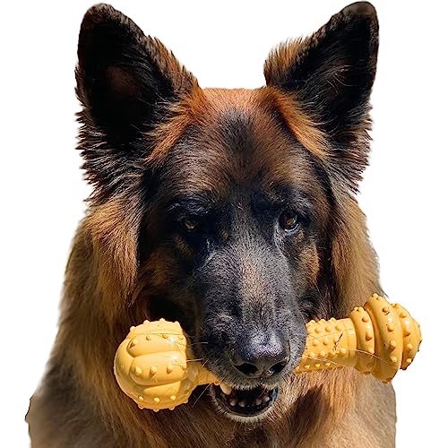 Book Cover Nylabone Barbell Power Chew Durable Dog Toy Peanut Butter XX-Large/Monster (1 Count)