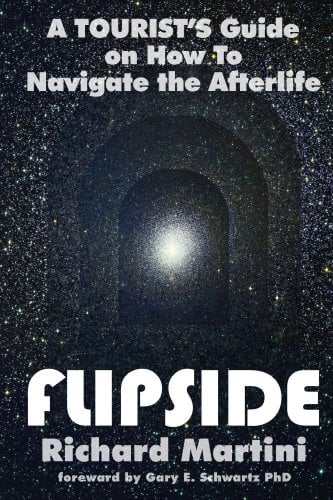 Book Cover Flipside : A Tourist's Guide on How to Navigate the Afterlife