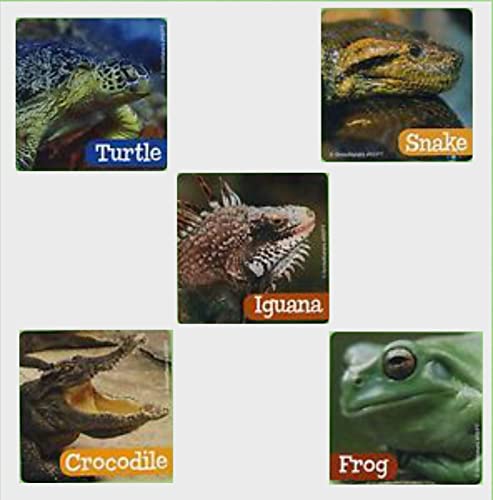 Book Cover Assorted Reptiles Stickers - Prizes 100 per Pack