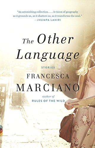 Book Cover The Other Language (Vintage Contemporaries)