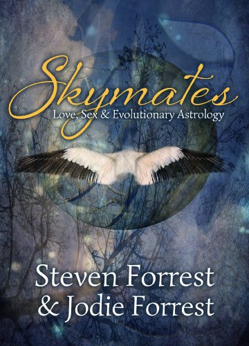 Book Cover Skymates