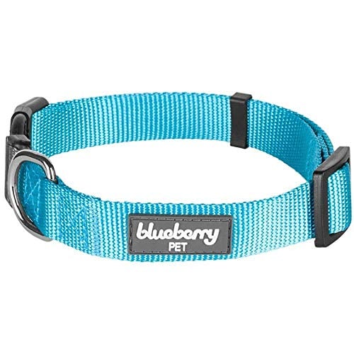 Book Cover Blueberry Pet Essentials 22 Colors Classic Dog Collar, Turquoise, Small, Neck 12
