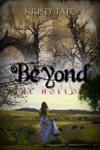 Book Cover Beyond the Hollow: A time travel romance