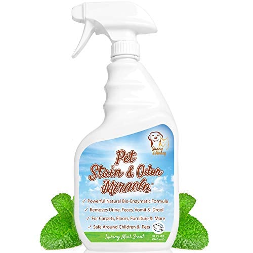 Book Cover Pet Stain & Odor Miracle - The Best Enzyme Cleaner for Dog Urine Cat Pee Feces Vomit, Enzymatic Solution Cleans Carpet Rug Car Upholstery Couch Mattress Furniture, Natural Eliminator (S/M 32FL OZ)