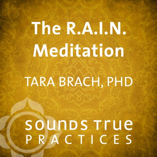 Book Cover The R.A.I.N. Meditation