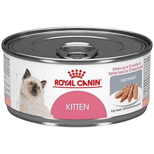 Book Cover Royal Canin Feline Health Nutrition Kitten Loaf in Sauce Canned Cat Food, 5.8 oz can