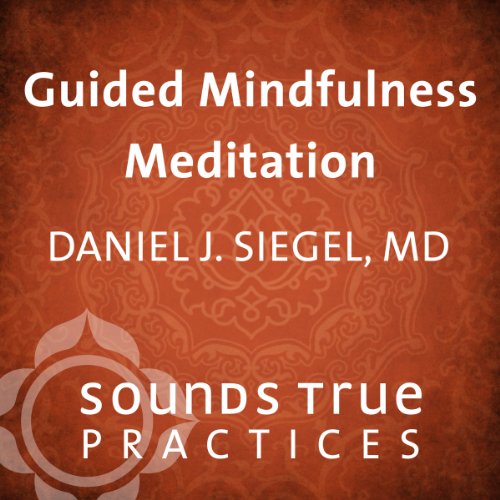 Book Cover Guided Mindfulness Meditation